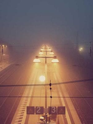 Silent Witness